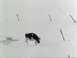 Robert Huot - from One Year 1970 Robert Huot - from One Year 1970