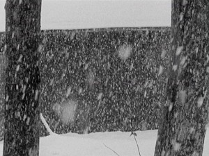 Robert Huot - Still from"Snow"